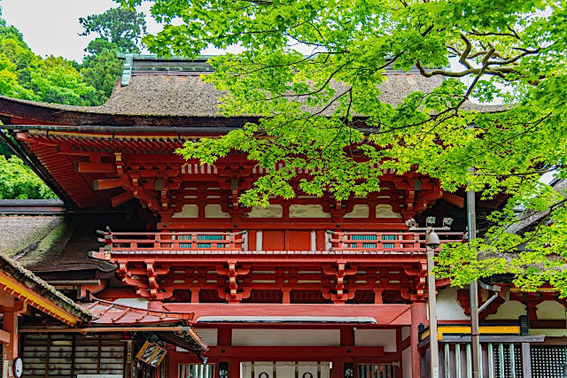 深秋のならを歩いて談山神社と大神神社』桜井・三輪・山の辺の道 奈良県 の旅行記・ブログ by tsukkyさん