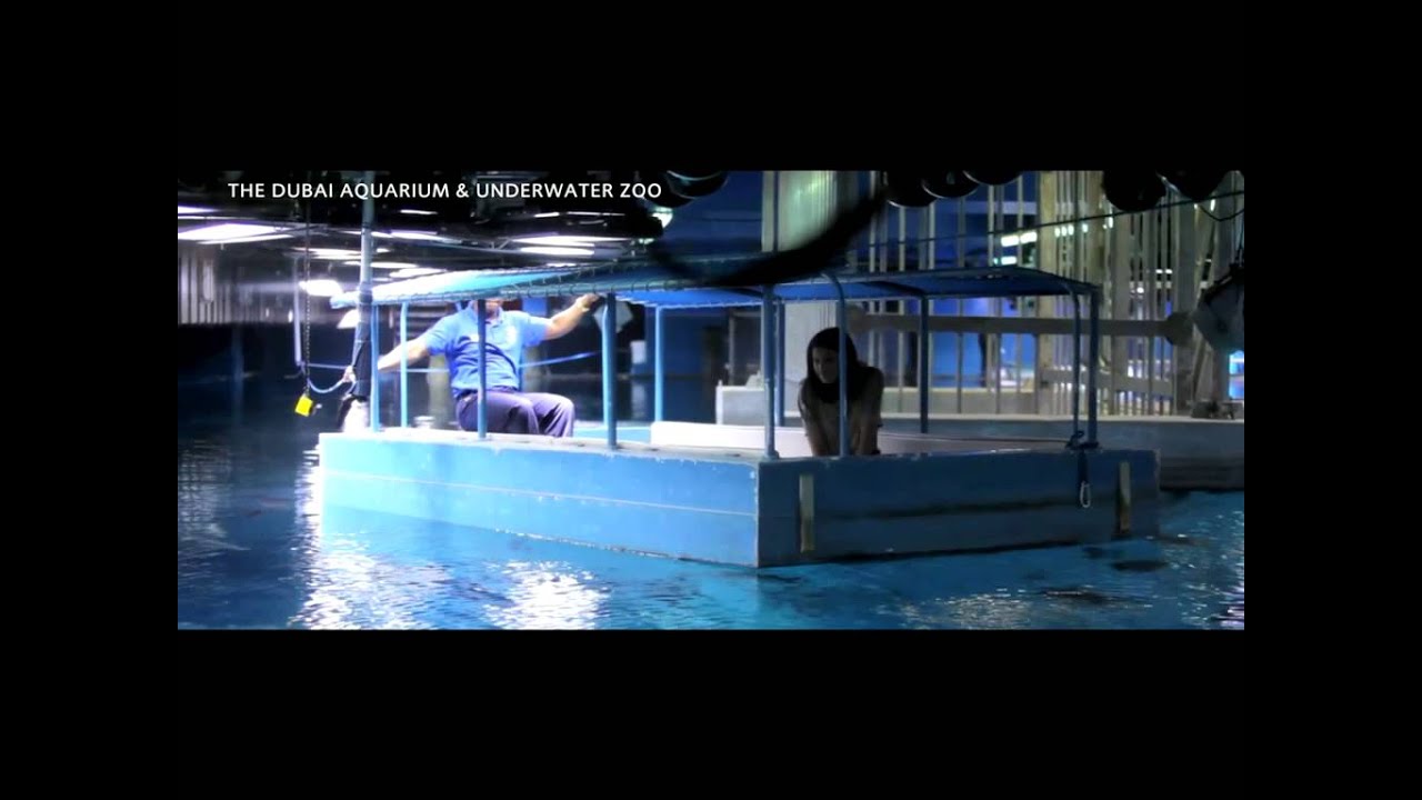 水族館まである！ 世界最大級のドバイ・モールを探検しよう！ -