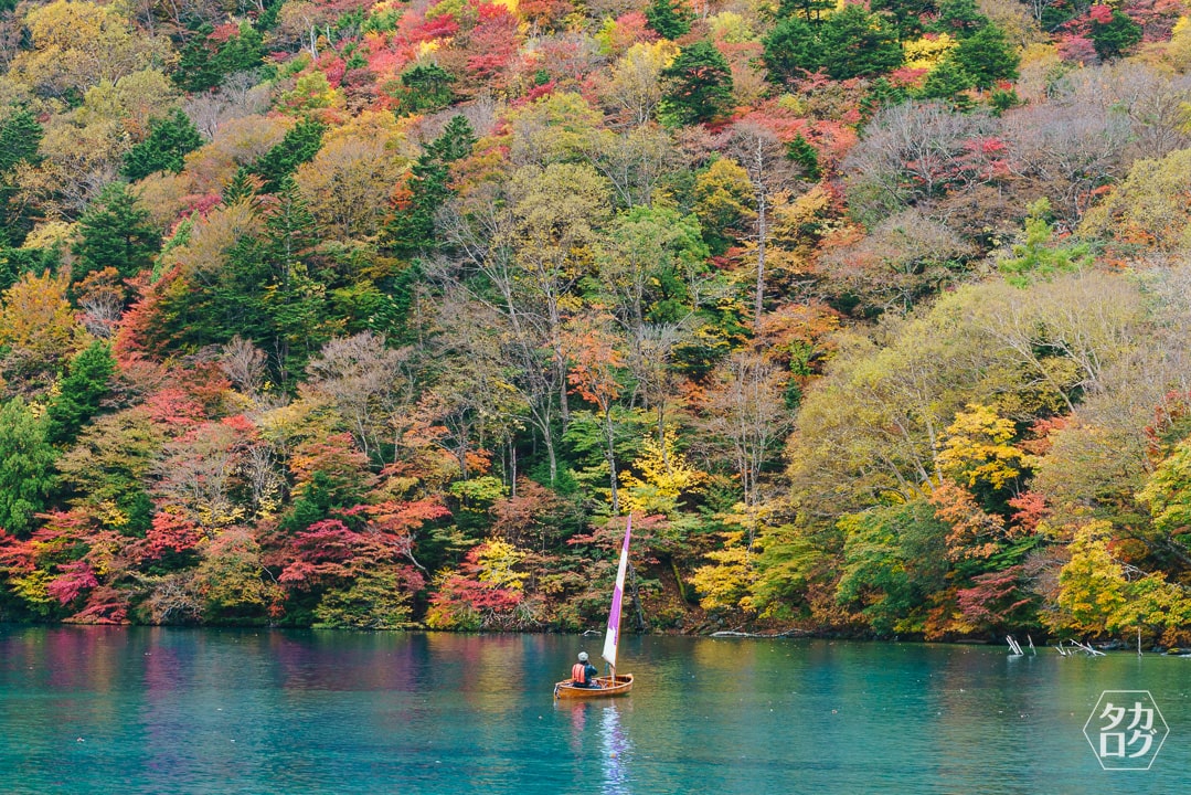 🚩千手ヶ浜 🚩Senju Beach