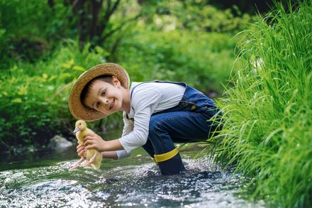 熊本県のおすすめ川遊びスポット