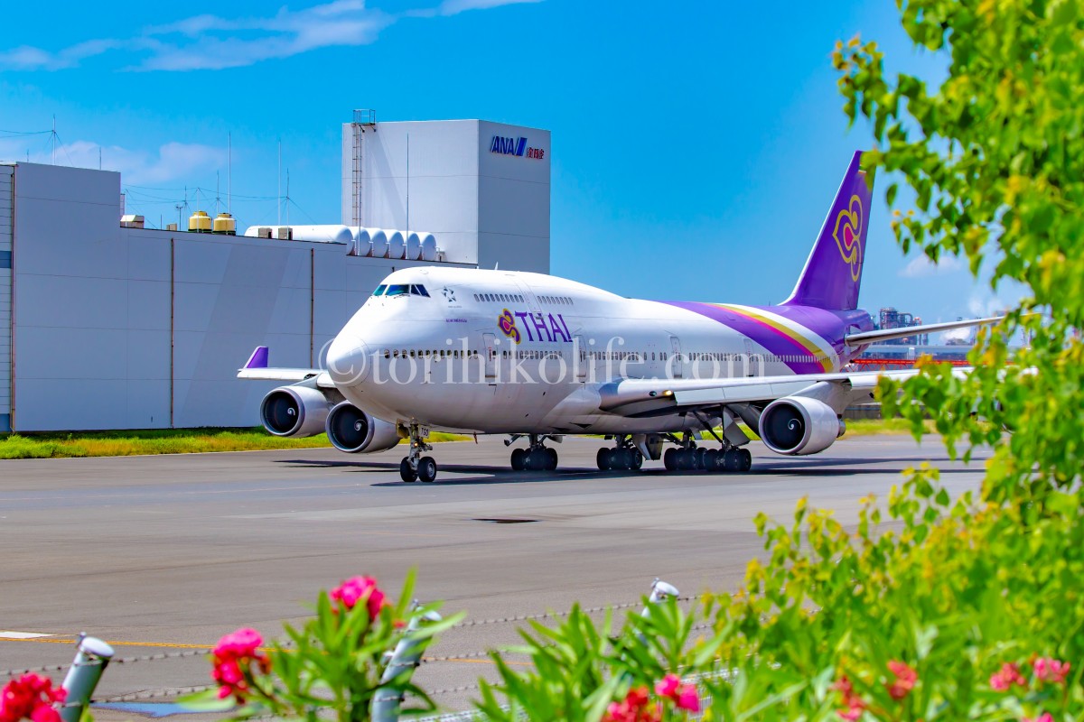 羽田空港内＆周辺での飛行機撮影スポット5選羽田の格安航空券・LCCの比較検索予約サイト トラベリスト