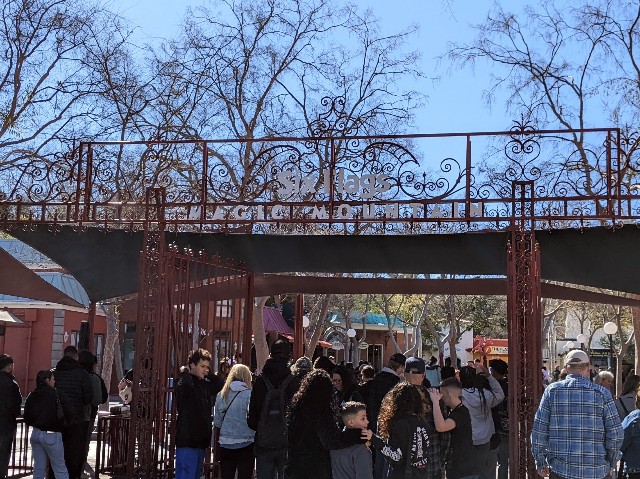 シックス・フラッグスはロサンゼルスの絶叫テーマパーク！魅力や行き方を解説NEWT ニュート