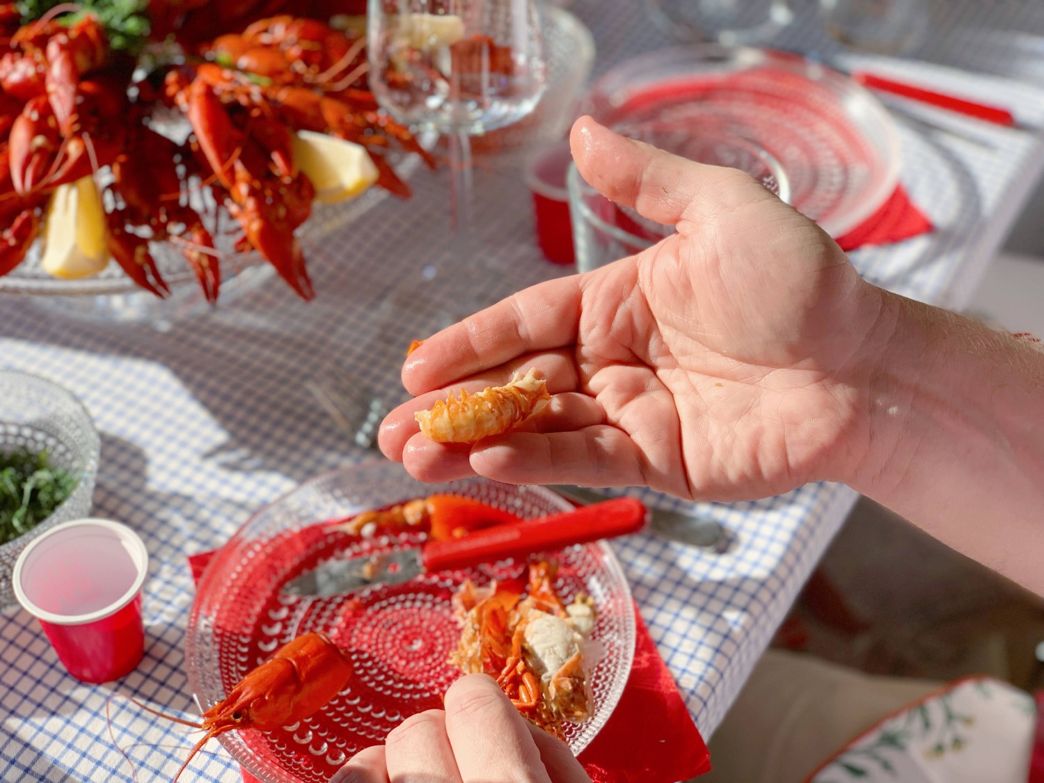 HARD TO FIN ざりがにのパーティー