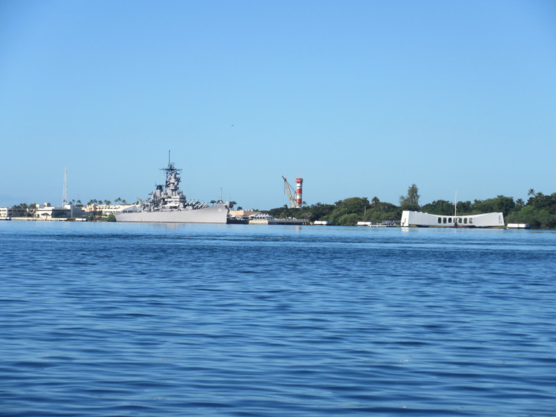 新潟市水族館マリンピア日本海PR 公式على X: 