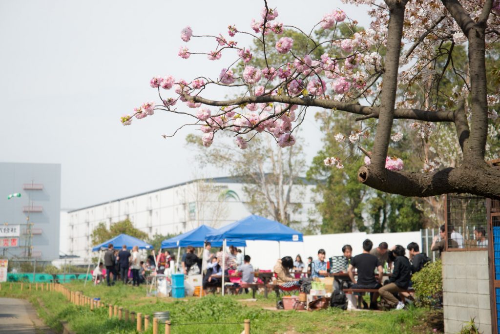 夢の島公園 バーベキュー広場をご紹介！展示館や植物館、駐車場情報も！宅配バーベ急便