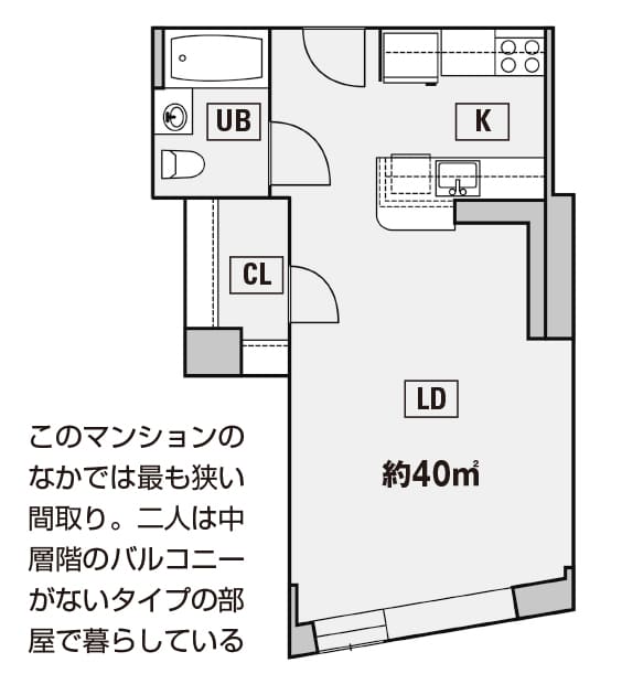 小室夫妻の2億円新居があっけなく判明 ゲートのないコミュニティーの角地で大丈夫なの？