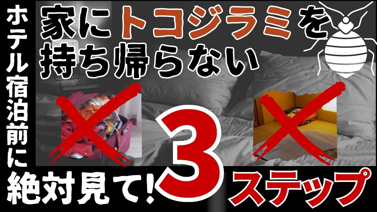 ♡ トコジラミ対策について✨ 先日ストーリーでシェアしていましたが ちょこちょこ質問をいただくので