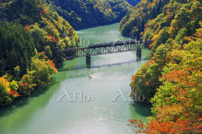 JR只見線早戸駅