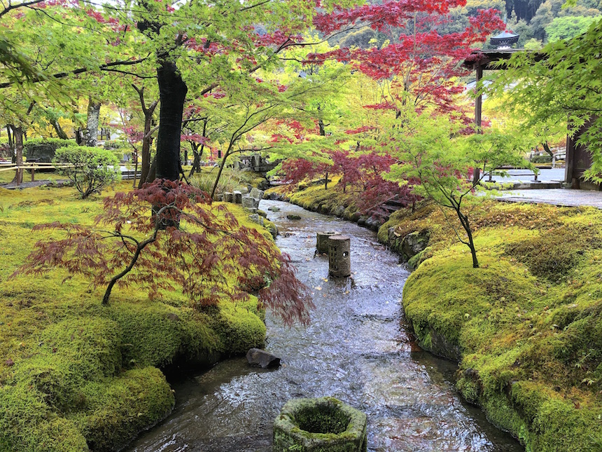 永観堂 禅林寺京都観光コンシェルジュ