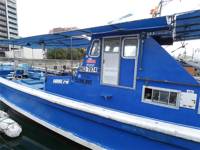 先程の超速報です➡一つテンヤ&タイラバで船中40枚、真鯛が釣れまくっています💦土日は厳しかったですが、急に釣れ始めました🤣💦 キビレ、TikTok