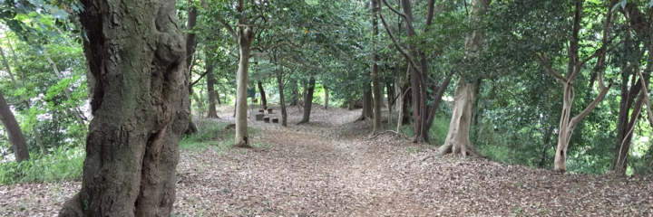 高幡城ルアーマンのブログ