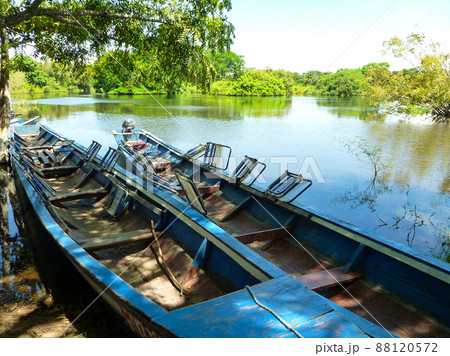 ジャングル・クルーズ アマゾン- song