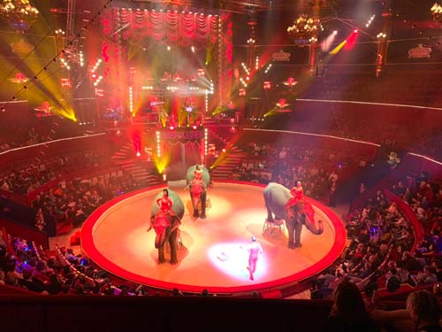 POP UP CIRCUS TENTコンゲススロイド