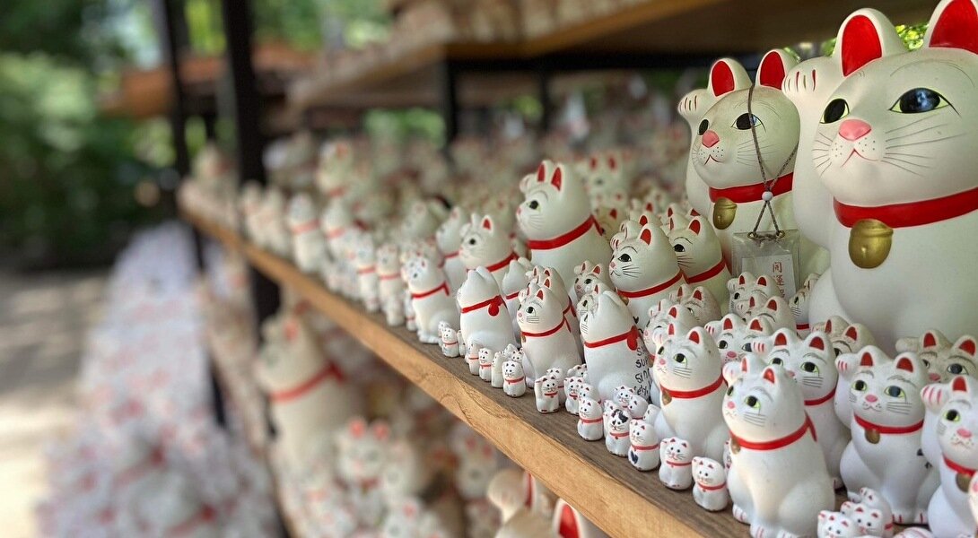 東京 観光 穴場」で検索した貴方へ生粋の都民がオススメする場所│東京チカーバ東京と近場の観光&散歩スポットを巡るブログ