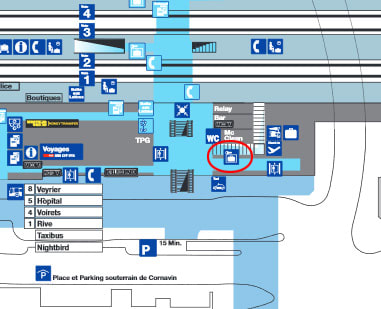 決定版！Haute Routeオートルート トレッキング！ 各情報を集約した便利帳！ –
