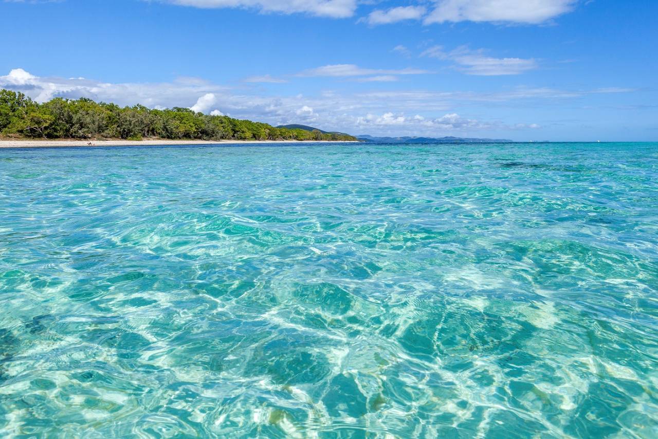 ニューカレドニア、8月1日より渡航者の入国要件をすべて撤廃 - トラベル Watch