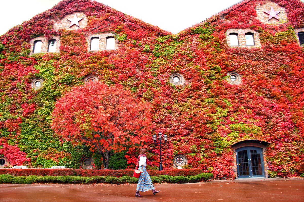 写真家がおすすめする、秋〜冬の北海道の絶景7選特集 公式 北海道の観光・旅行情報サイト