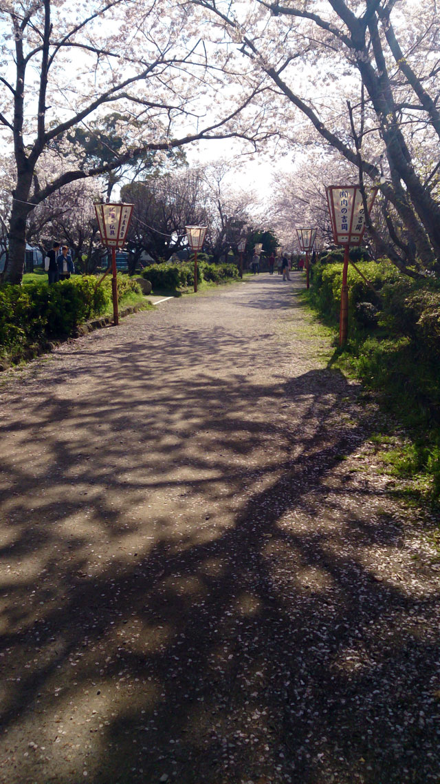 臼杵城址桜まつり臼杵市観光協会