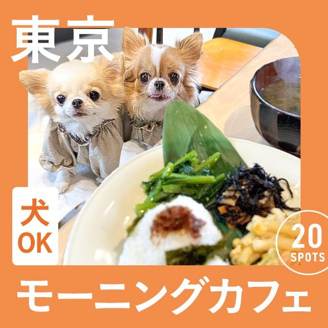 2023最新 東京おしゃれモーニング36選！朝活・朝食カフェのすすめ