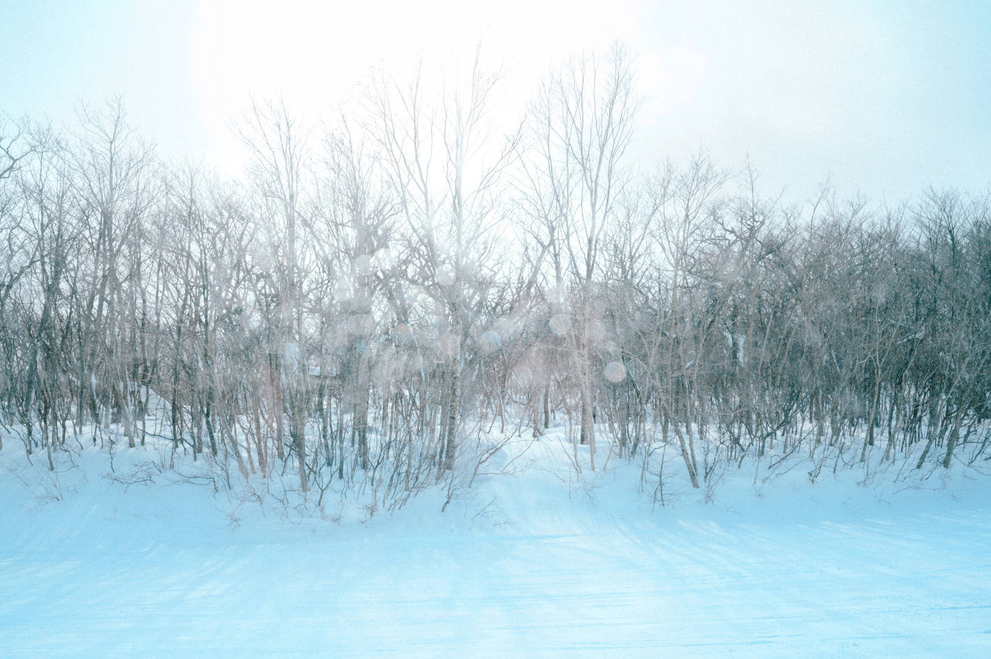 魅力満載の冬を楽しむ 宮城周遊旅行