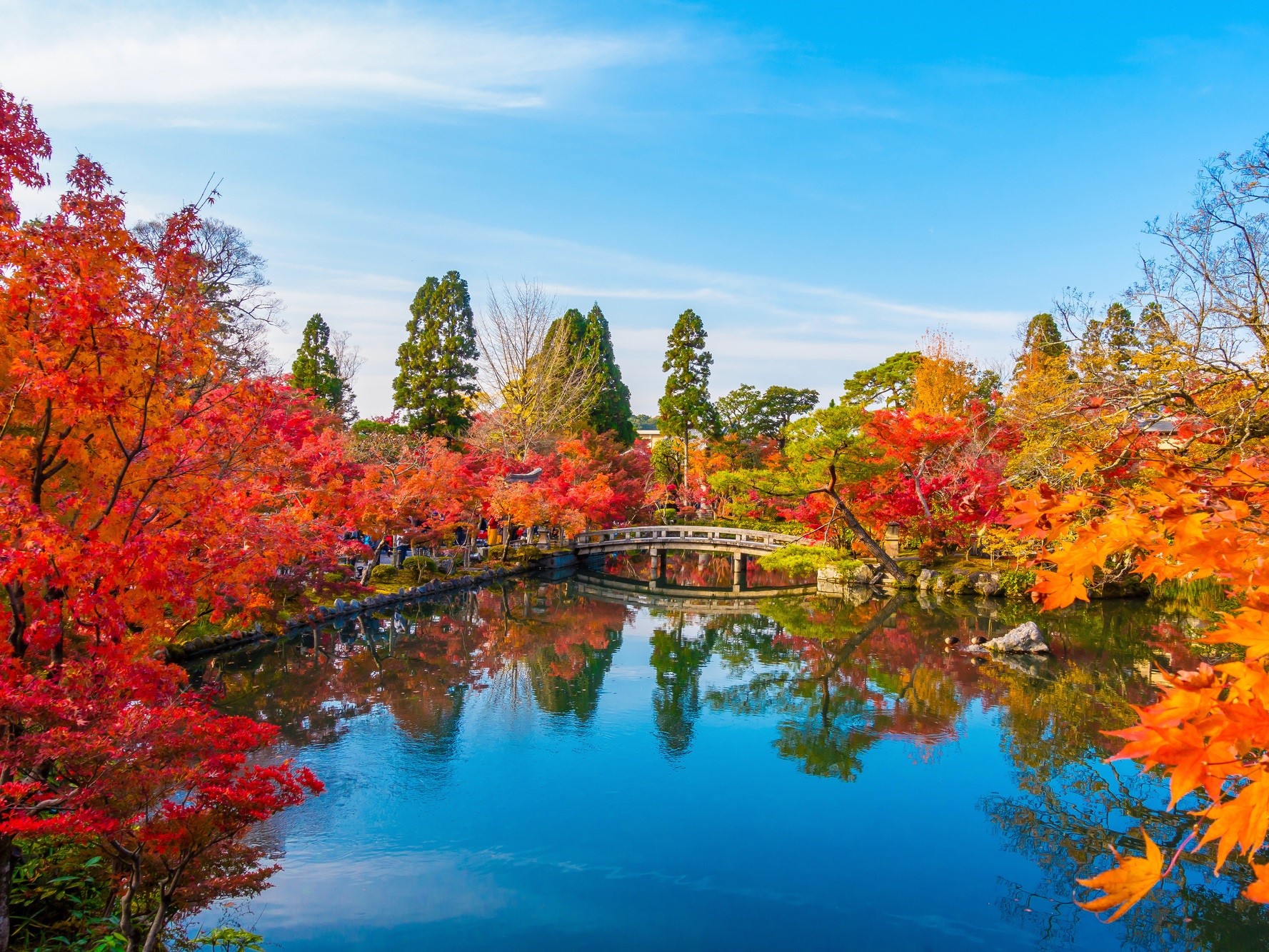 東北で行くべき紅葉スポット10選！猊鼻渓や鳴子峡、奥入瀬渓流も - LIVE JAPAN日本の旅行・観光・体験ガイド