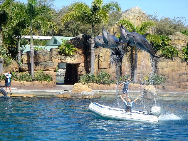 2025 マジック メン サーファーズ