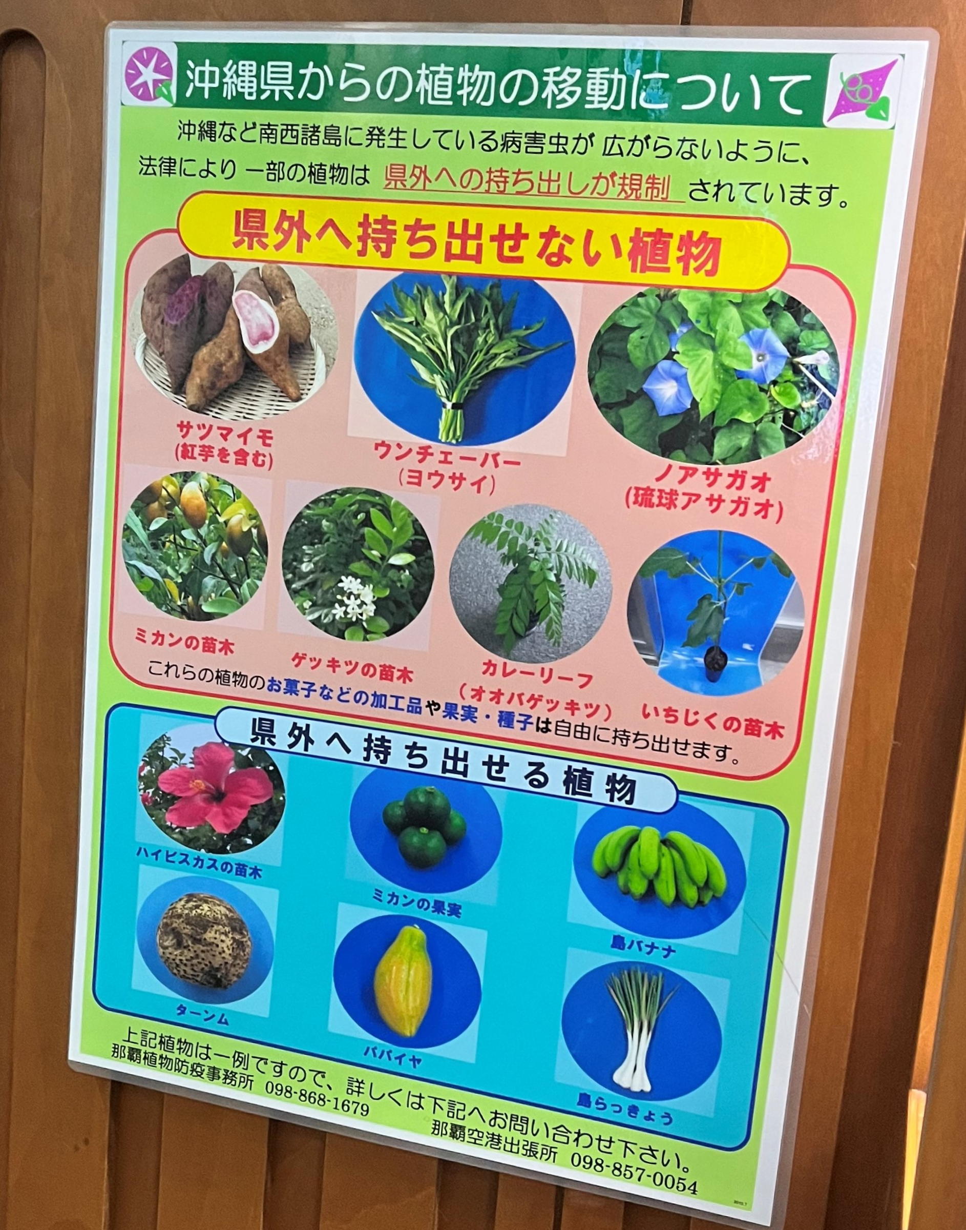 お土産にもGOOD！地元スーパー・コンビニで買える「沖縄限定」