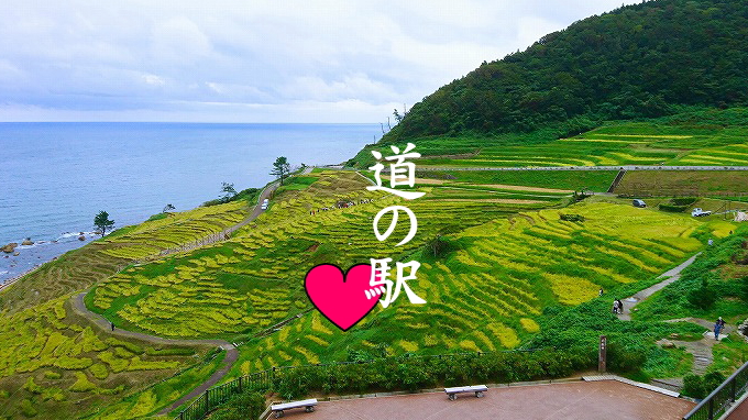 < メディア掲載多数 >