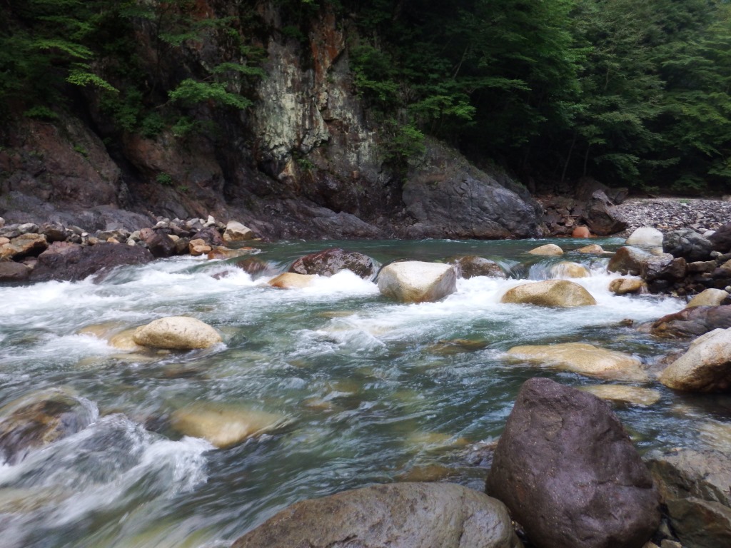 上高地 清水川 上高地の魚影