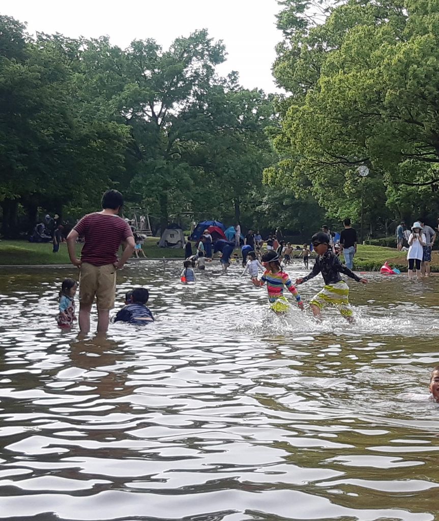 市川市 今年も市民プールがオープン！売店ではICHICOも使えるようになりました！号外NET 市川市