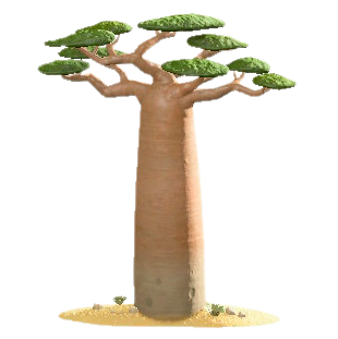 あつ森 シマトネリコの色、値段、入手方法 あつまれどうぶつの森-