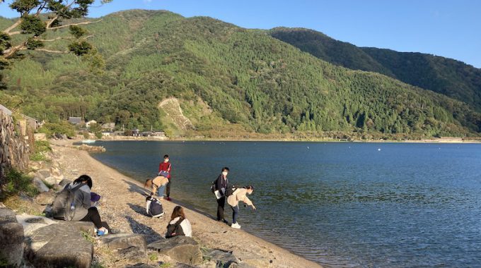 海津大崎の桜 高島市- お花見2025 -