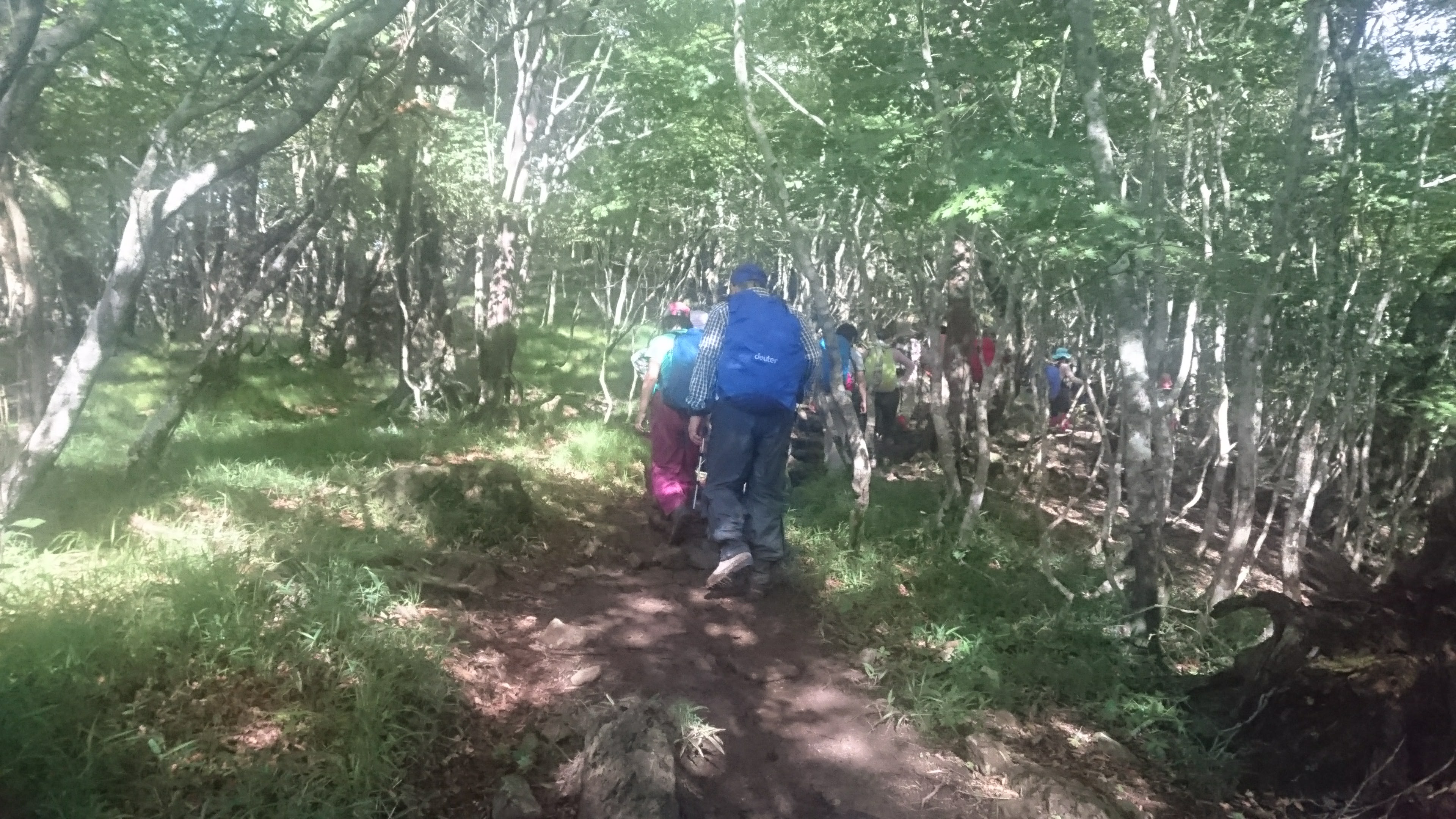 秘境・大杉谷トレッキングと近畿最高峰・大峰山八経ヶ岳登頂西遊旅行の添乗員同行ツアー 147号