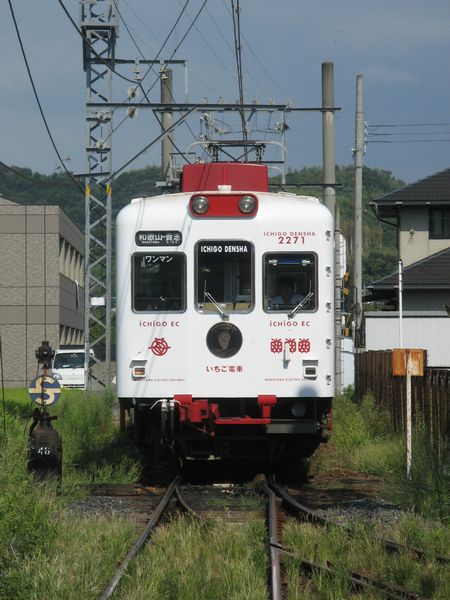 和歌山 わかやま電鉄、貴志川線のたま電車がかわいいの写真素材184336697- イメージマート