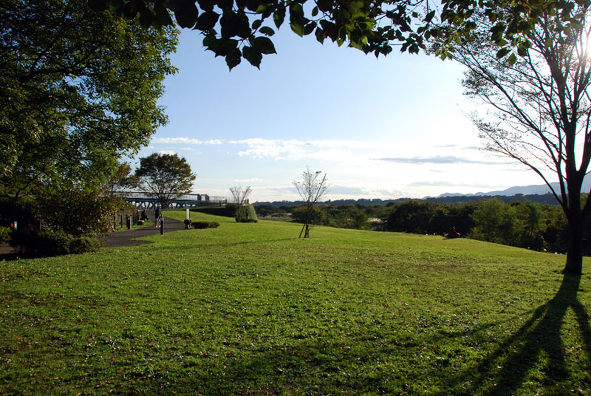 洒水の滝の紅葉「日本の滝百選」2024年見頃時期と色づき状況・アクセスと駐車場 神奈川県山北町カタスミ日記