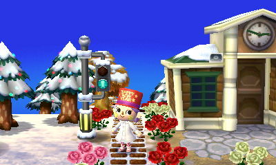 とび森 写真ください - 森づけ＋