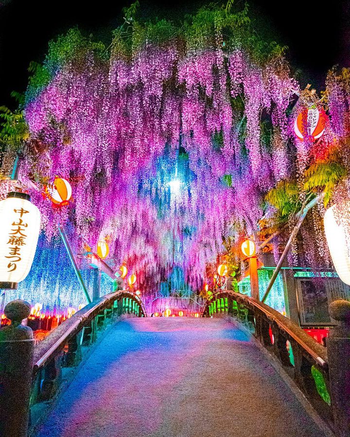 福岡 糸島観光スポット15選！インスタ映えスポット・グルメ・絶景など名所を一挙ご紹介