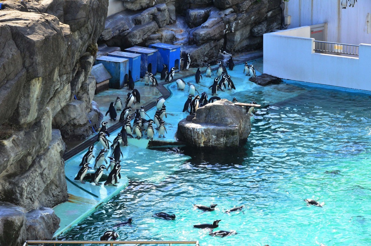 インフィニティプールとは？ 特徴と楽しみ方を紹介 - たびらい