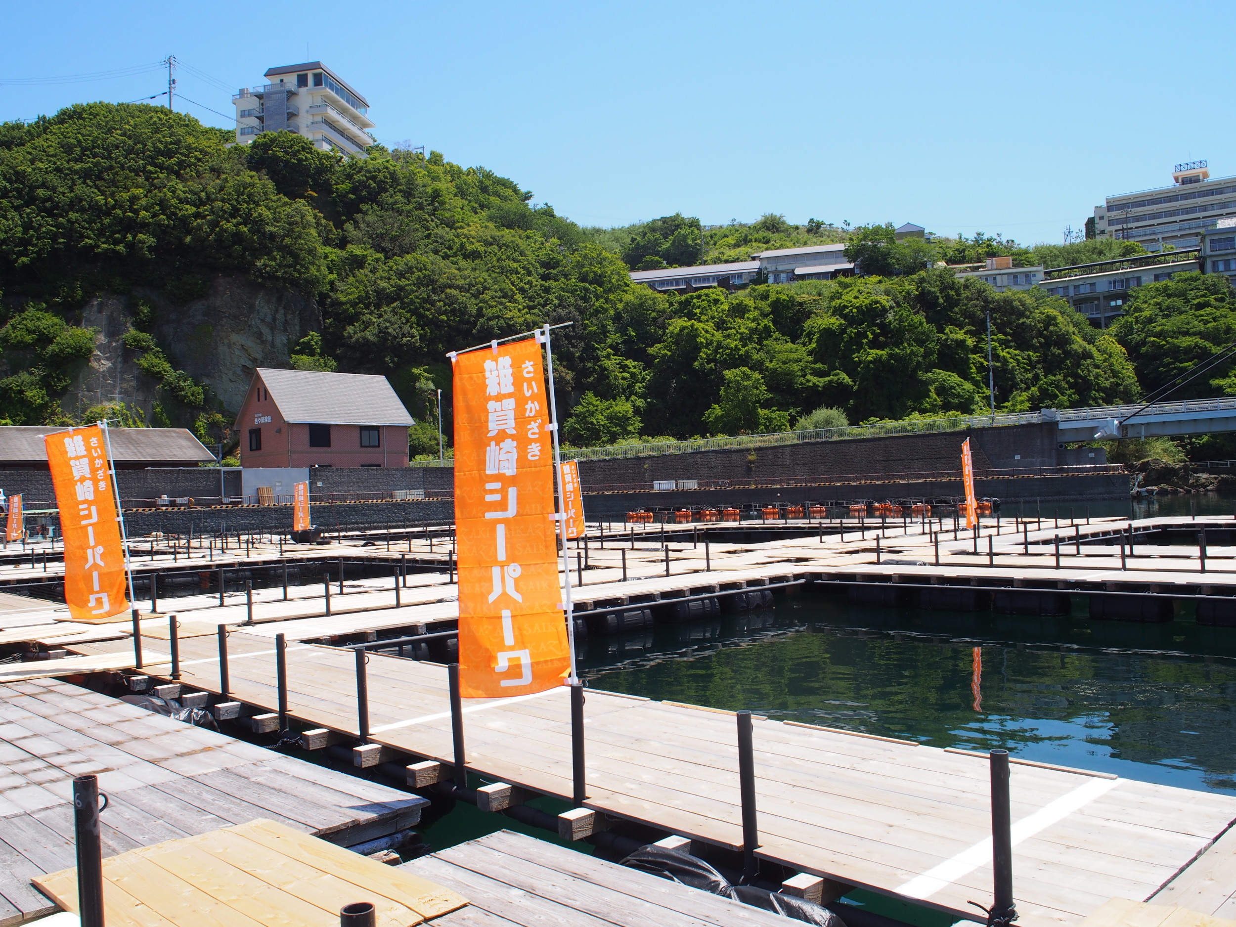 和歌山市 『雑賀崎漁港：さいがさきぎょこう』のおすすめ海釣りガイド 釣れる魚・駐車場・トイレ
