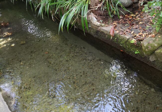 いがわ小径ニッポン旅マガジン