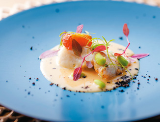 福井のおいしい食材探求③アラレガコ食べあるキング里井真由美オフィシャルブログ Powered by