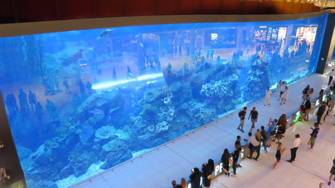 ドバイ・アクアリウム チケット購入は要注意！コスパと内容をレポート