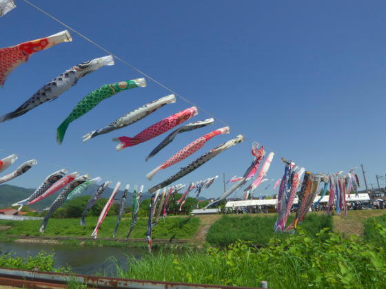 神奈川県平塚市「鈴川鯉のぼりまつり」でマンチェスター・シティの鯉のぼりが泳ぐ！ - スポーツナビ