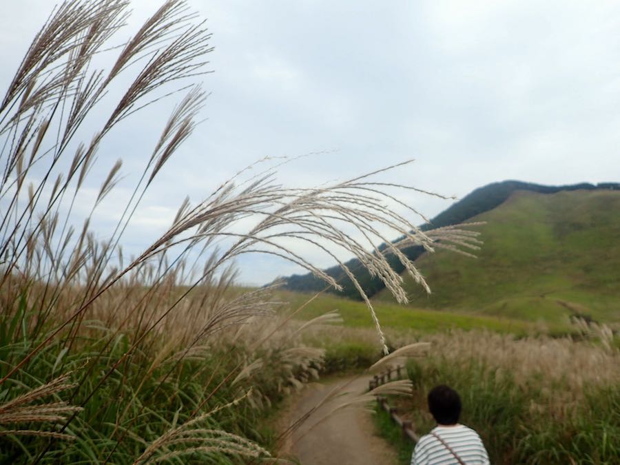 国内最古級の電気機関車「上州のシーラカンス」愛する会解散、デキ愛２９年「やり切った」 - 産経ニュース