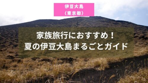 伊豆大島の島内でたまに見かけるこちら、何だかご存知ですか？ 実はこれ、噴火時の噴石等から身を守るためのシェルターなんです。噴石シェルター避難壕大島伊豆大島大島歩きoshima東京都庁 の出先機関東京都大島支庁大島支庁離島東京諸島伊豆