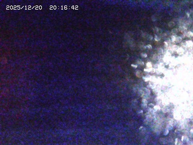 三重県 ライブカメラ