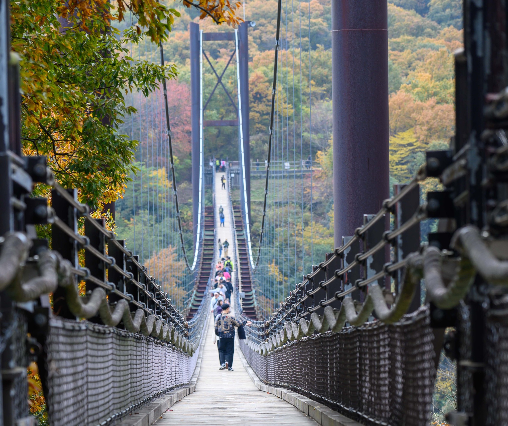 大阪の日本一長い吊り橋テーマパークが3月17日にオープン！様々な絶叫アクティビティを堪能しよう