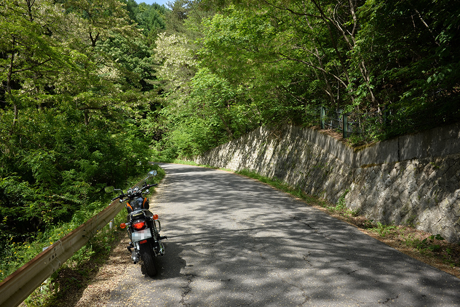 春の4重奏ツーリング アルプス展望道路万年NAのバイク日記