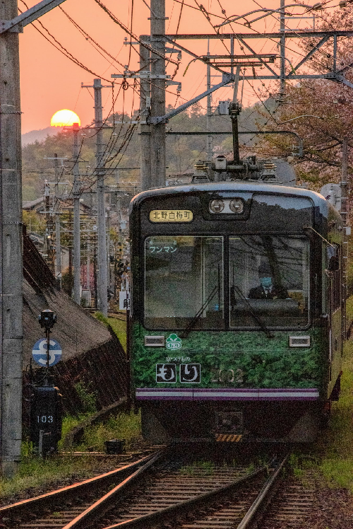 ヤナセ東京支店がおすすめする夜景ドライブスポット株式会社ヤナセ