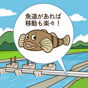 福井で幻の魚「アラレガコ」の生息調査 非常に美味でサケと同じ生態？TSURINEWS